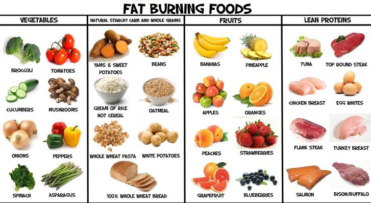 what to eat to shred fat